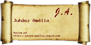 Juhász Amélia névjegykártya
